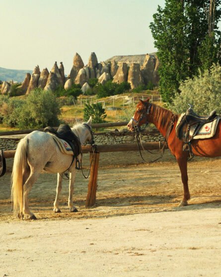 Kapadokya At Turu - Görsel 6