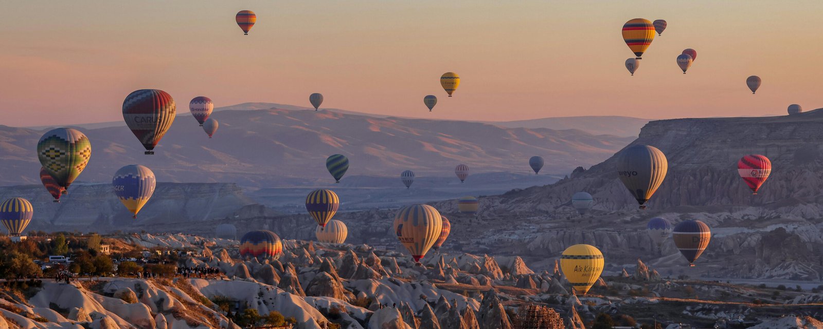 Hedera Travel